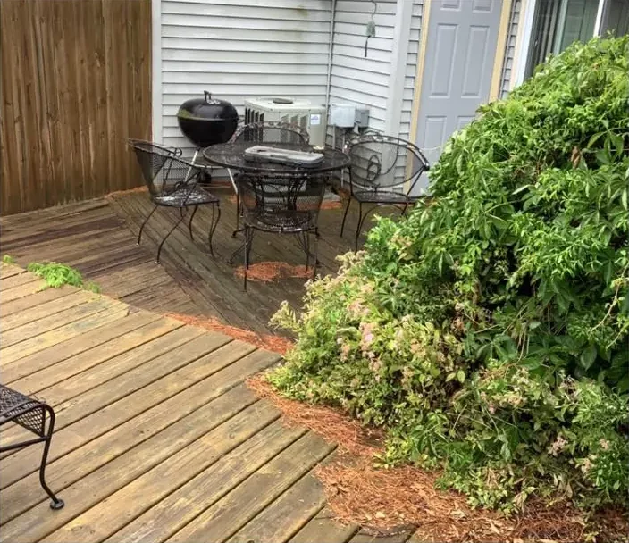 Before: a faded gray deck crowded by an overgrown shrub
